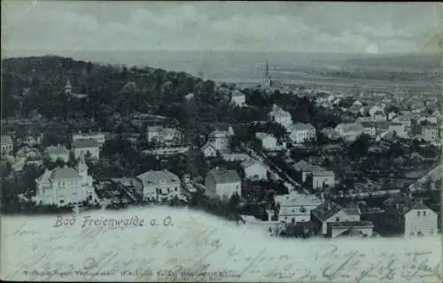 Ak Bad Freienwalde an der Oder, Panoramaansicht der Stadt, zahlreiche Gebäude, Wälder im Hintergr