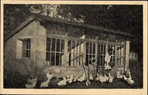 Ak Saint Michel en Brenne Indre, Ecole Sociale Menagere Agricole de Saint-Cyran, un poulailler