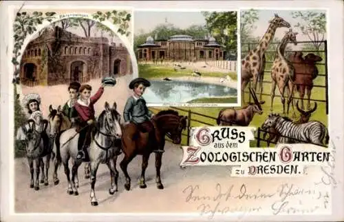 Litho Zoologischer Garten Dresden, Kinder reiten auf Ponys, Bärenzwinger, Affenhaus, Giraffen, Kamel