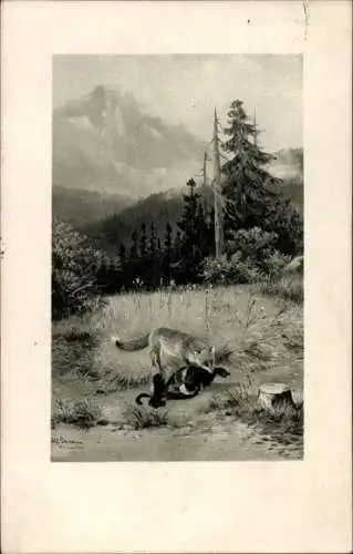 Künstler Ak Schönian, Gebirgslandschaft mit Fuchs, der einen Auerhahn gerissen hat