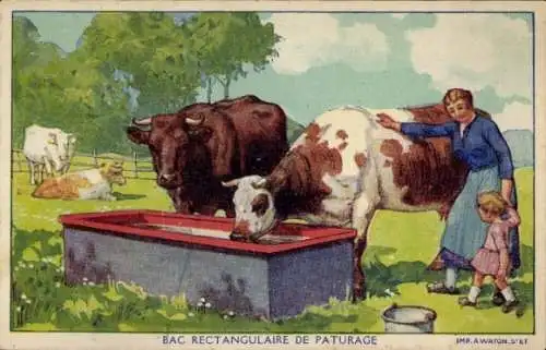 Künstler Ak Kühe an einer Weidetränke, Trog, Frau, Kind
