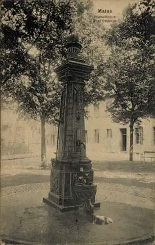 Ak Mainz am Rhein, Bischofsplatz, Alter Brunnen