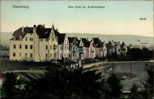 Ak Naumburg an der Saale, Neue Villen der Buchholzstraße
