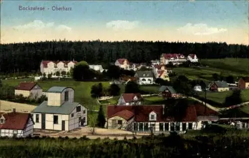 Ak Hahnenklee Bockswiese Goslar im Harz, Bockswiese Oberharz, Natur, Hügel, Häuser, Wald, alte 