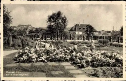 Ak Kornwestheim, Stadtgarten, Rosen, Spaziergänger