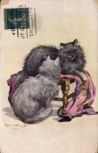 Künstler Ak Chinchilla-Katzen, graue Langhaarkatzen