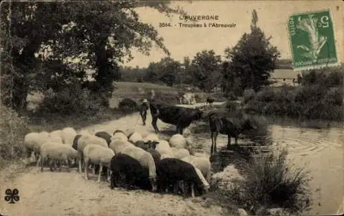 Ak Troupeau à l'Abreuvoir, Schafherde, Kühe