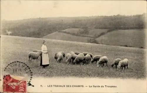 Ak La Garde du Troupeau, Schafherde