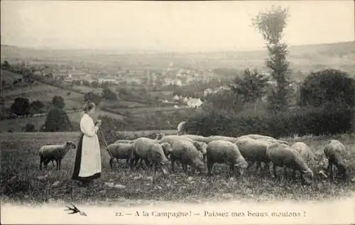 Ak  A la Campagne, Paissez mes beaux moutons