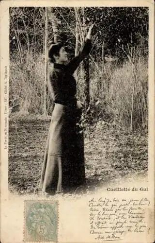 CPA Forêt en Nivernais, Cueillette du Gui