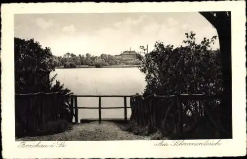 Ak Zwickau in Sachsen, Schwanenteich