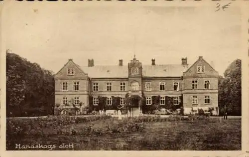Ak Hanaskog Schweden, Schloss
