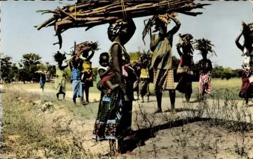 Ak Senegal, Frauen tragen Holz, bunte Kleidung, ländliche Szenerie, gemeinschaftliche Aktivität
