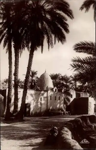 Ak Biskra Algerien, Moschee, Palmen,  Architektur