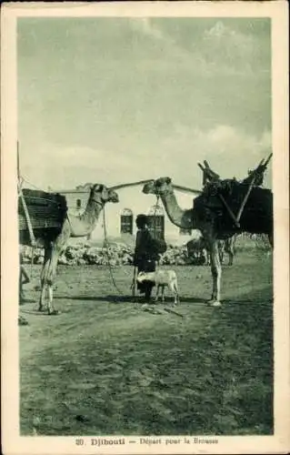 Ak Djibouti Dschibuti, Kamele, Person mit Hund, Wüste, Gebäude im Hintergrund, Abreise zur Brouss