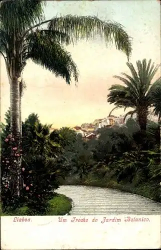 Ak Lisboa Lissabon Portugal, Parklandschaft in  Botanischer Garten, Palmen, Weg