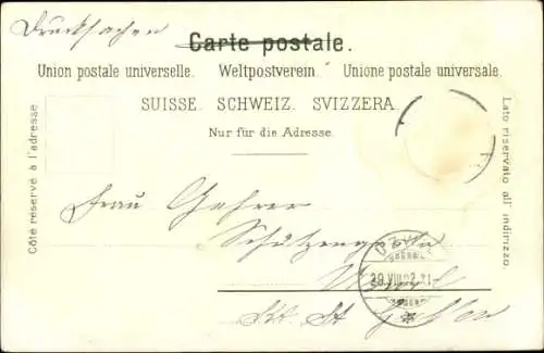 Ak Rapperswil Kanton Sankt Gallen, Häuserreihe, Bootssteg