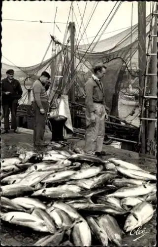 Ak Les Sables d'Olonne Vendée, Les Thons sur le Quai