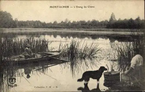 Ak Montacher Yonne, L'Etang du Chène, Boot auf dem Wasser, Hund am Ufer