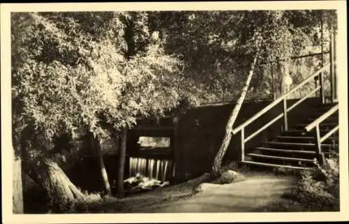 Ak Birkenwerder in Brandenburg, Schöne Natur, Wasserfälle, Treppe, Lichtlaterne, Baumpflanzung