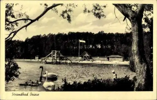 Ak Briese Birkenwerder im Kreis Oberhavel, Strandbad Briese