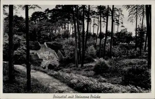 Ak Berlin Reinickendorf Borsigwalde, Briesetal, Steinerne Brücke