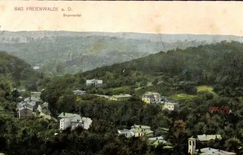 Ak Bad Freienwalde an der Oder, Kurgebiet Brunnental, Waldlandschaft
