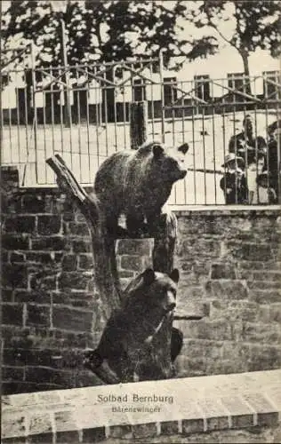 Ak Bernburg an der Saale, Solbad  Bärenzwinger, zwei Bären auf Baumstamm