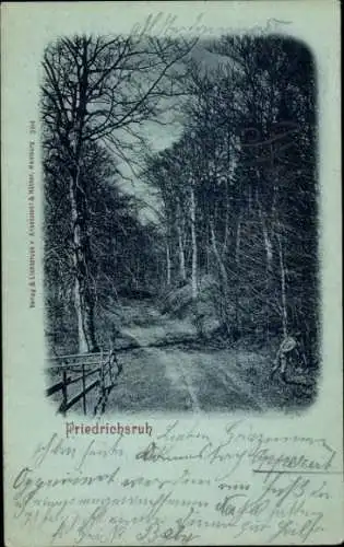 Ak Friedrichsruh Aumühle im Herzogtum Lauenburg, Baumallee, Weg, umgeben von Bäumen, -Porträt