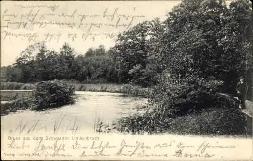 Ak Schwaan in Mecklenburg, Wasserlauf, Bäume, Ufer, Mensch,  von Ludwig Kiel, Gruss aus Schwaaner