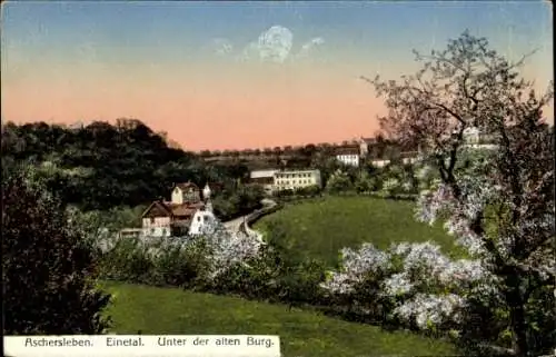 Ak Aschersleben im Salzlandkreis, Landschaftsaufnahme, alte Burg, blühende Bäume, hügelige Wiesen