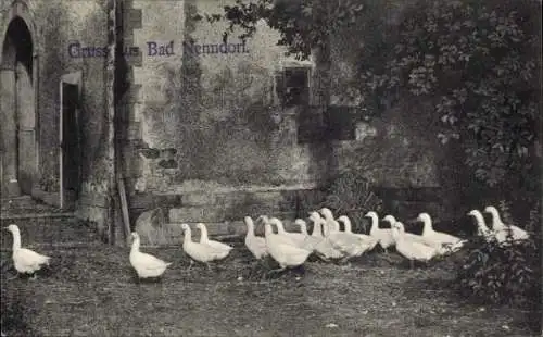 Ak Bad Nenndorf an der Weser, Gruss aus  Enten auf dem Hof,  Kulisse