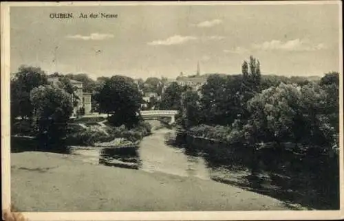 Ak Guben in der Niederlausitz, Panoramaansicht, Fluss, Brücke, Bäume, Stadtansicht