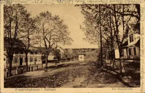 Ak Friedrichsbrunn Thale im Harz, Hauptstraße, Bäume, Gebäude, alte 