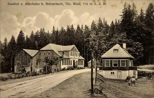 Ak Stützerbach Ilmenau Thüringer Wald, Gasthof z. Auerhahn, Wald, 716 m ü. d. M., Gebäude, Waldla