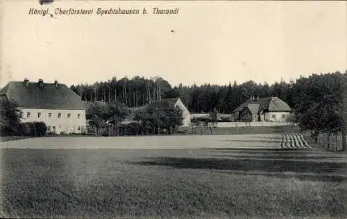 Ak Spechtshausen Hartha Hintergersdorf Tharandt im Erzgebirge, Königliche Oberförsterei
