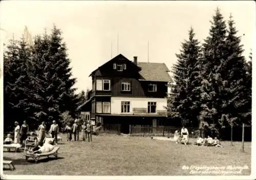 Ak Waldidylle Altenberg im Erzgebirge, Baude, Liegewiese