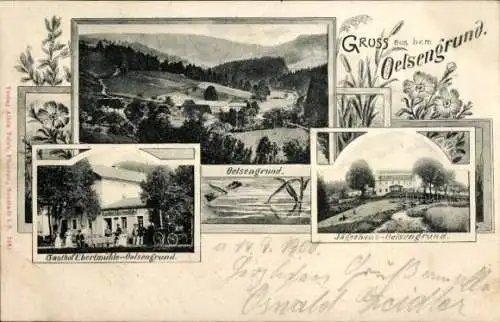 Ak Oelsengrund Bad Gottleuba in Sachsen, Jägerhaus, Gasthof Ebertmühle