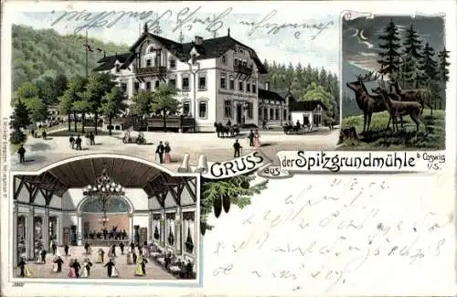 Ak Coswig in Sachsen, Spitzgrundmühle, Gemälde der  Tanzsaal, Ballsaal, Menschen, Natur