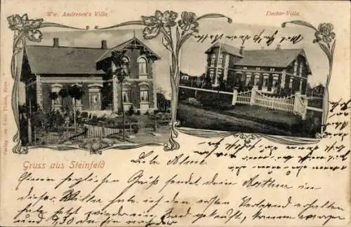 Ak Steinfeld in Schleswig, Villa von Ww. Andresen, Doctor Villa
