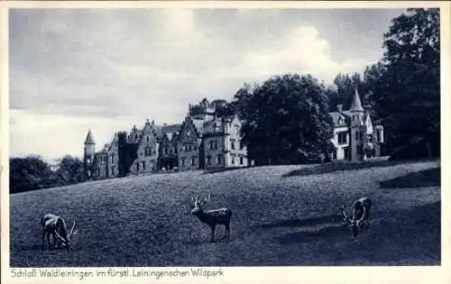 Ak Mörschenhardt Mudau im Odenwald Baden, Schloss Waldleiningen, Fürstl. Wildpark
