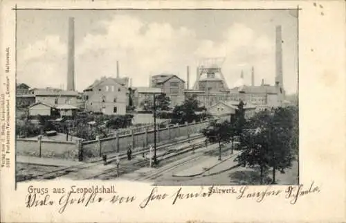 Ak Leopoldshall Staßfurt im Salzlandkreis, Salzwerk