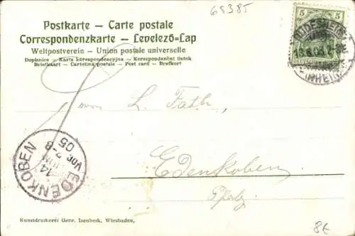 Ak Rüdesheim am Rhein, Hotel Rheinstein, M. Beiderlinden, Dampfer