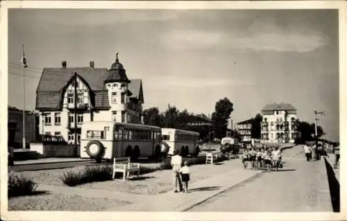Ak Ostseebad Kühlungsborn, Promenade, Busse
