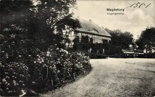 Ak Magdeburg an der Elbe, Vogelgesang