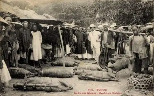 CPA Tonkin Vietnam, Marche aux Cochons