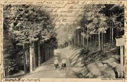 Ak Hagen in Westfalen, Stadtwald