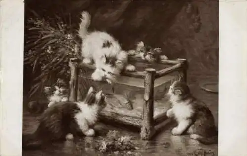 Künstler Ak Huber, Leon, Vier Katzen, Aquarium, Cambrioleurs