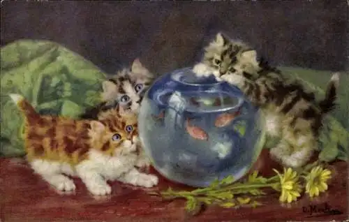 Künstler Ak Drei Katzen, Fischglas