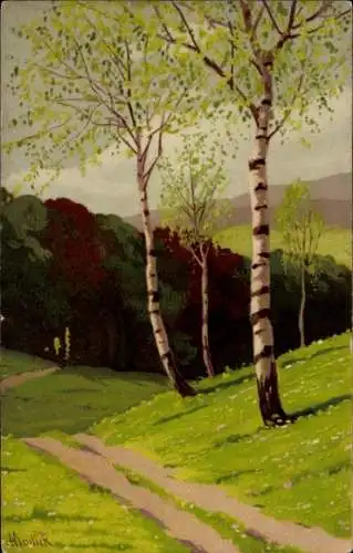 Künstler Ak Mailick, Birken